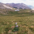 Continental Divide, Parika Lake